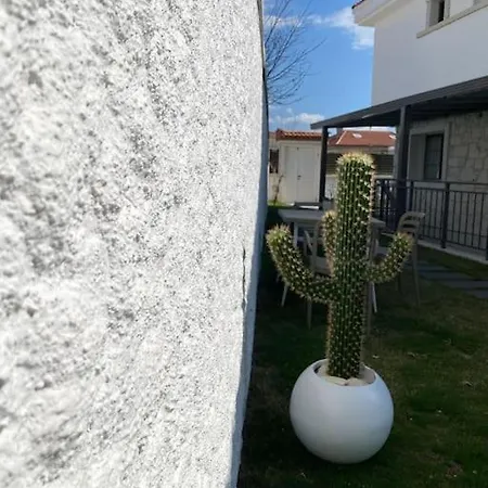 Olea Alacati Tas Incir A1 Konagi Alacati